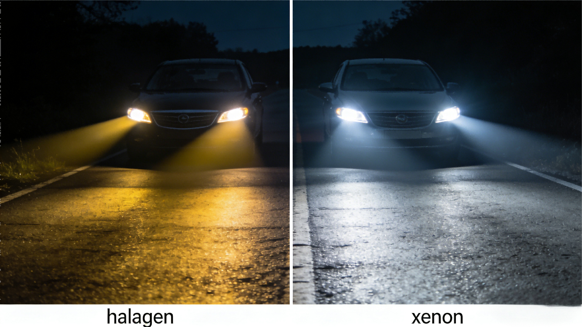 Halogen and Xenon Headlights: The Complete Guide to Choices, Use, and Maintenance