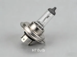 H7 Bulb2